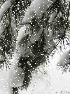 35 (240x320, 146Kb)