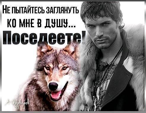 Волк одиночка фото мужика